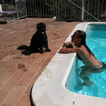 Barbagianni Campsite Senigallia