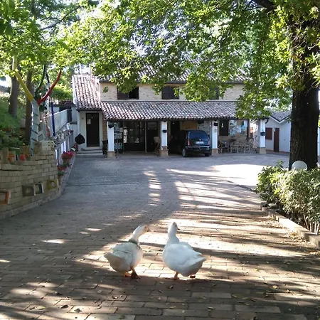 Campsite Barbagianni