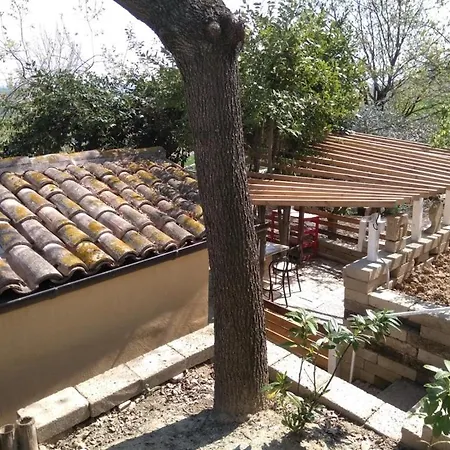 Barbagianni Senigallia