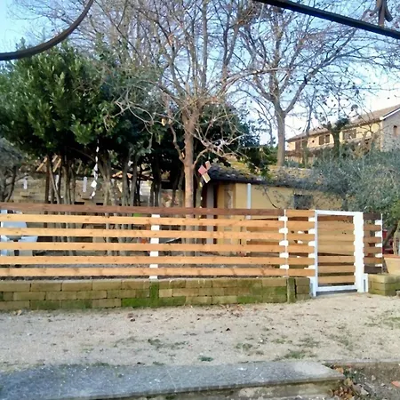 Barbagianni *